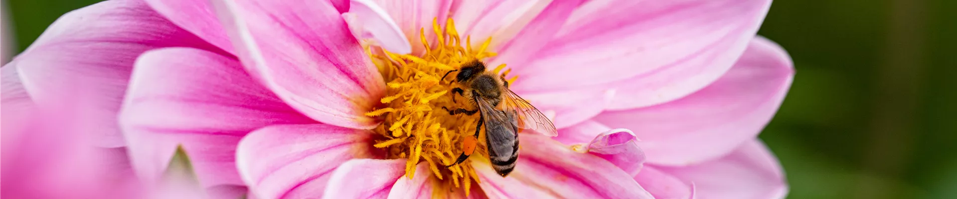 GS670301.jpg GS670301.jpg