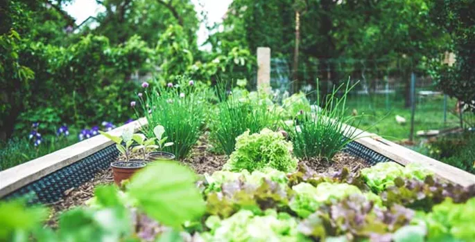 hochbeet-startschuss-maerz-fruehjahresgartenplanung-weingaertner-gartencenter.jpg