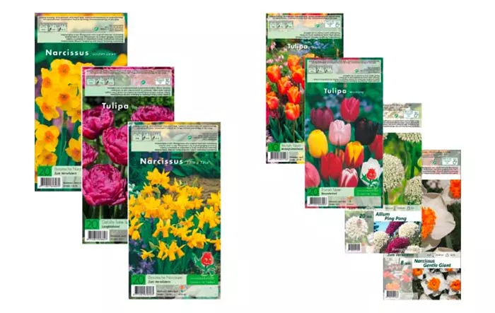 saaten-fruehlingszwiebelblumen-fruehjahresgartenplanung-weingaertner-gartencenter.jpg