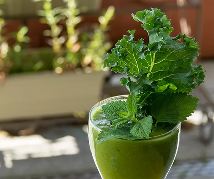 smoothie-kraeuterkunde-weingaertner-gartencenter.png