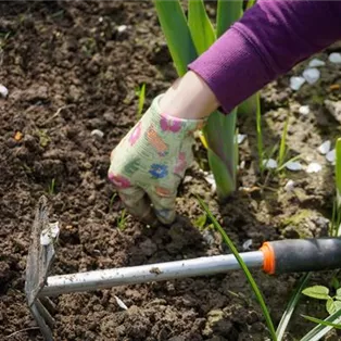 work-in-the-garden-g297303567_1920.jpg