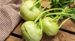 Kohlrabi