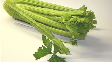 celery-gbdc625ea2_1280.jpg