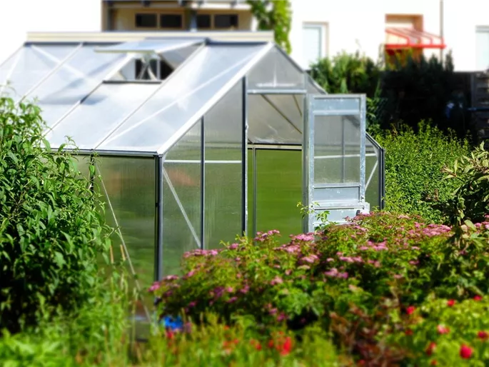 greenhouse-gdd500be3f_1920.jpg