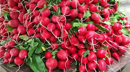 radishes-g4427c031b_1920.jpg