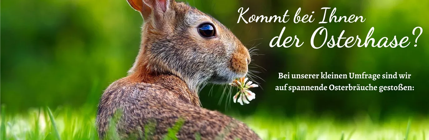 Kopie von vorlage kreis bilder magazin (685 × 457 mm) (2).png