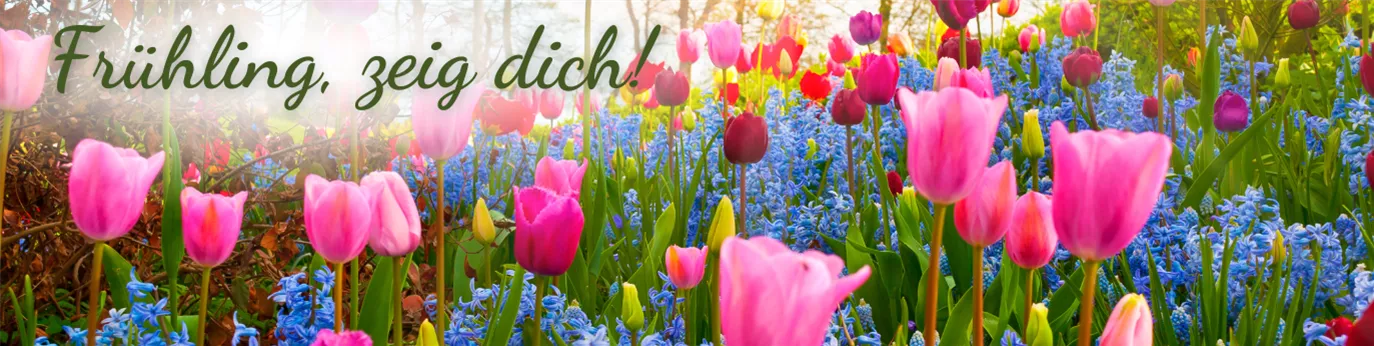 Vorlage Magazin Header frühling zeig dich Frühling 2022 1374 x 346.png