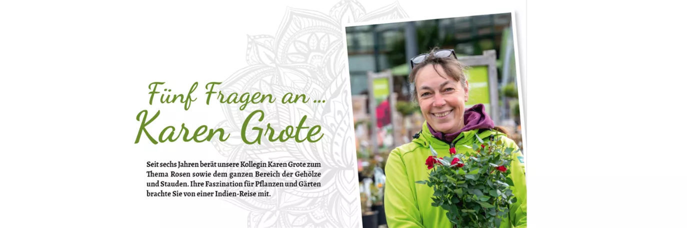 Kopie von Kopie von Vorlage Magazin 1374 x 346 (1374 × 457 px).png