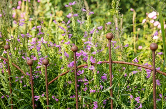 Zaunelement im Garten