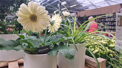 Website 2025 (BundB Cux).png Website 2025 (BundB Cux).png