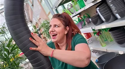 IMG-20250506-WA0030.jpg IMG-20250506-WA0030.jpg