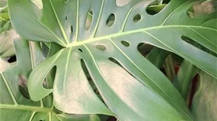 20250106_091328.jpg 20250106_091328.jpg