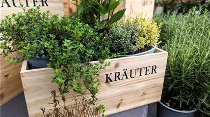 IMG-20240213-WA0021.jpg IMG-20240213-WA0021.jpg