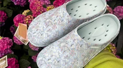 Gartenclogs 2024 IMG-20240405-WA0000.jpg Gartenclogs 2024 IMG-20240405-WA0000.jpg