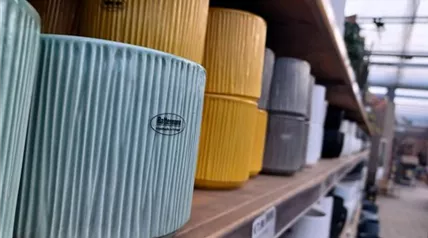 Übertoepfe Rattermann 20240103_135439.jpg Übertoepfe Rattermann 20240103_135439.jpg