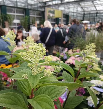 20250822_182607.jpg 20250822_182607.jpg