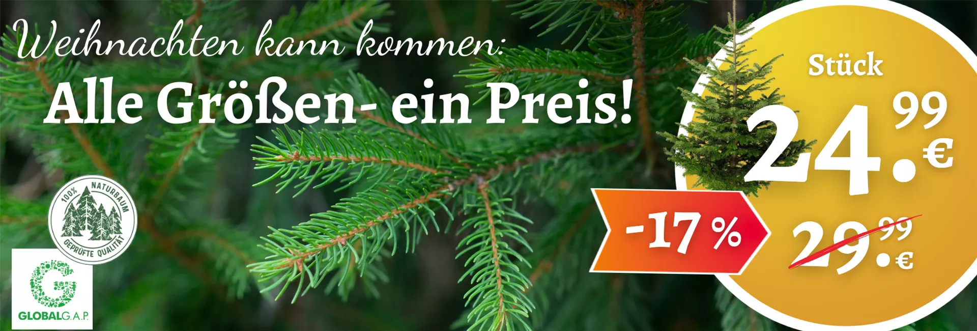 Sonderwerbung Weihnachtsbaum Dez 25 No 2.png Sonderwerbung Weihnachtsbaum Dez 25 No 2.png