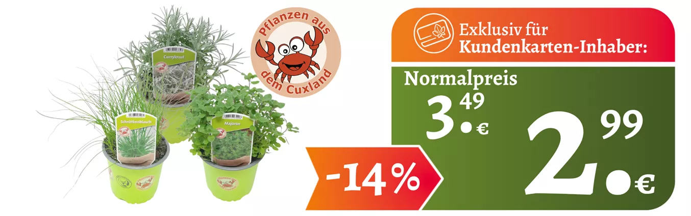 Webnsite KuKa ganzjährig Kräuter Cux.png Webnsite KuKa ganzjährig Kräuter Cux.png