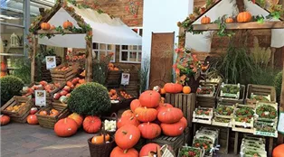 Saisonmarkt_Herbst_Kuerbisse.jpg